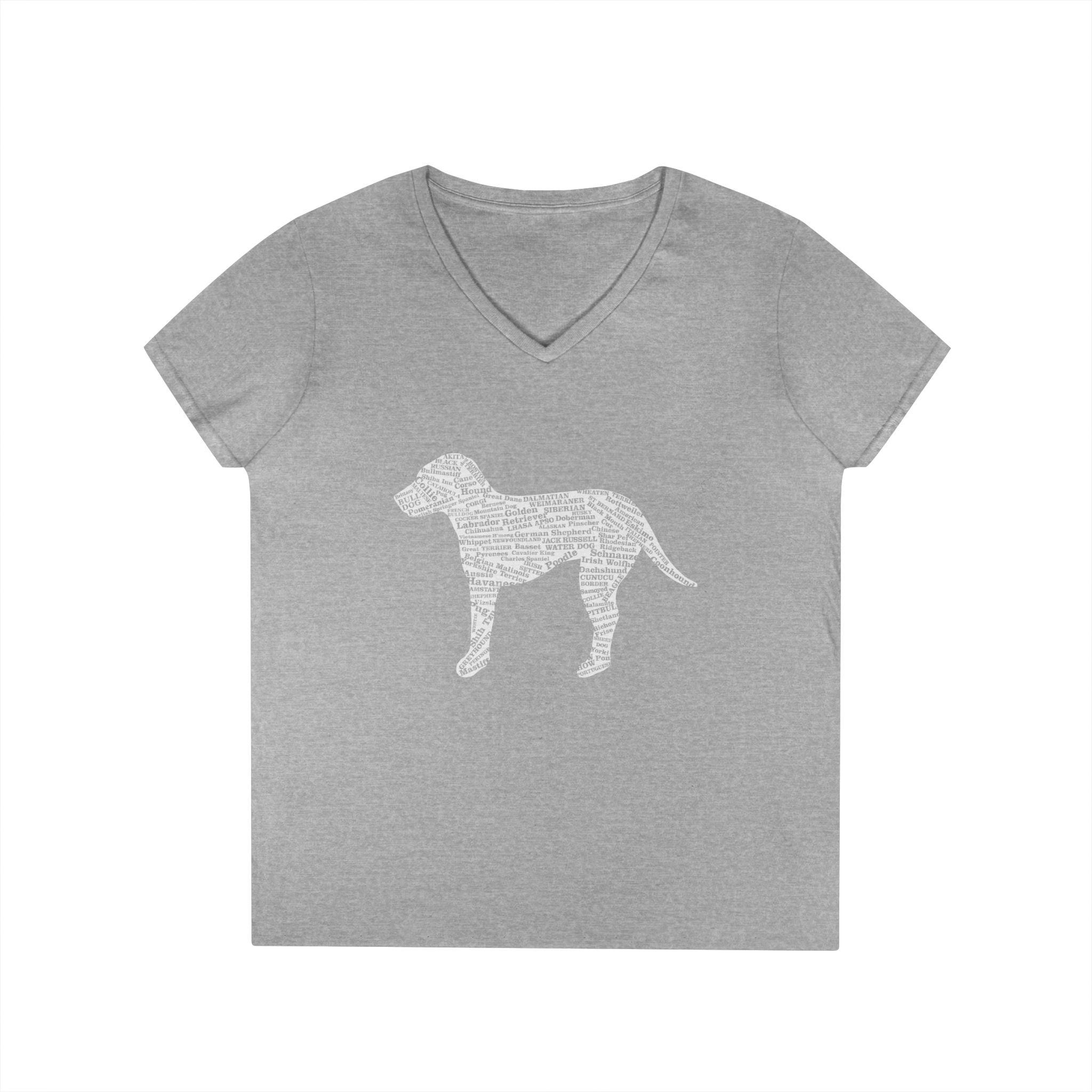 Ladies' V-Neck T-Shirt
