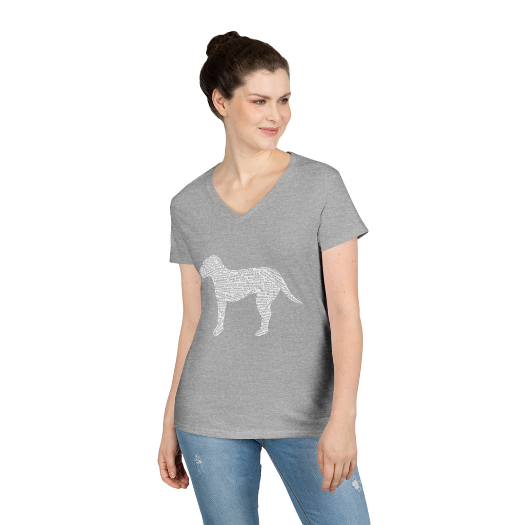 Ladies' V-Neck T-Shirt